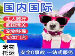 梅县机场托运国际宠物托运 【国